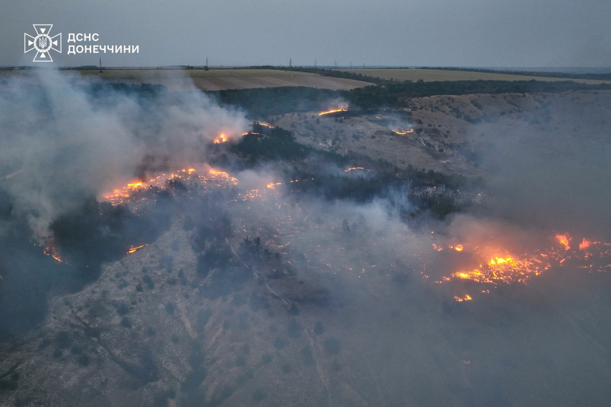 Масштабна пожежа у ландшафтному парку під Краматорськом. Фото: ДСНС