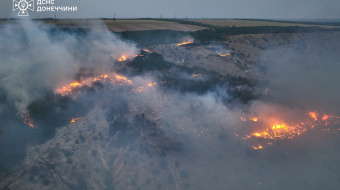 Масштабна пожежа у ландшафтному парку під Краматорськом. Фото: ДСНС