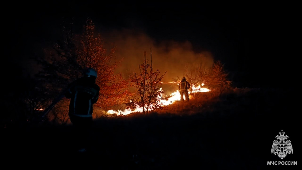 За день на окупованій Луганщині вигоріло понад 766 га лісостепу