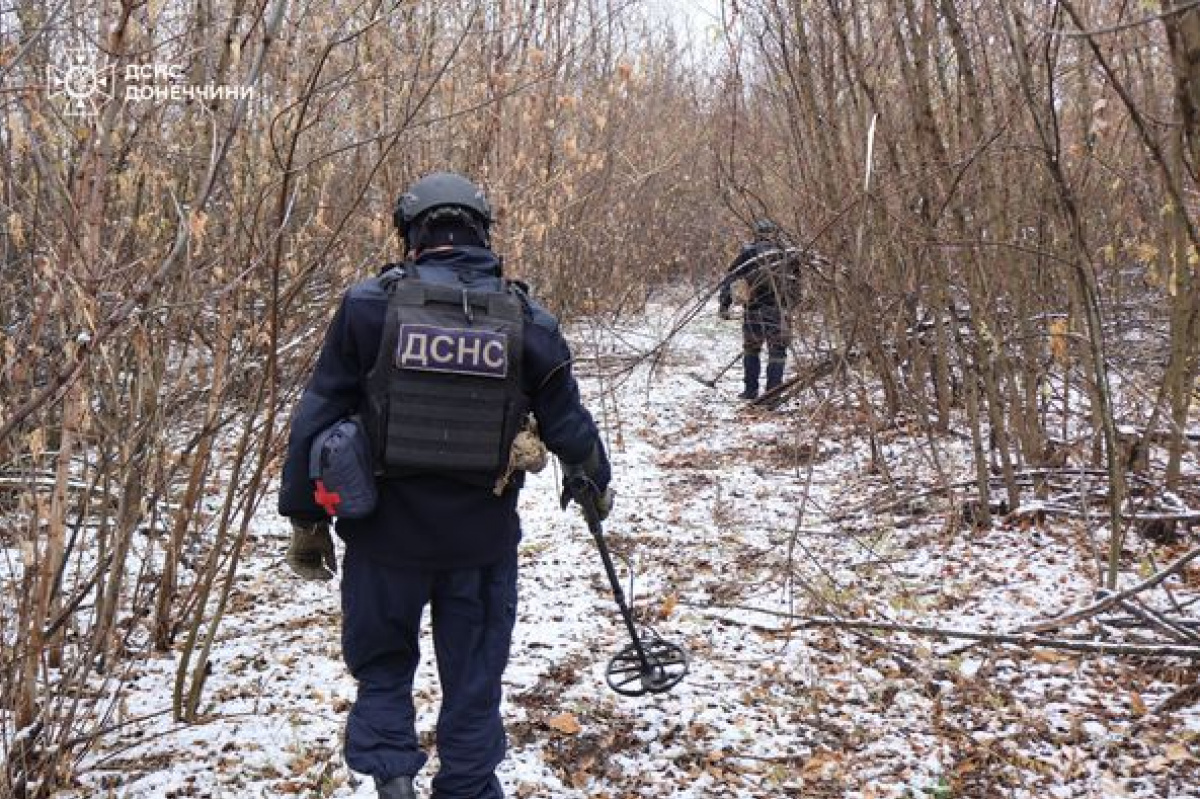 Піротехніки знищили 39 вибухонебезпечних предметів. Фото: ДСНС 