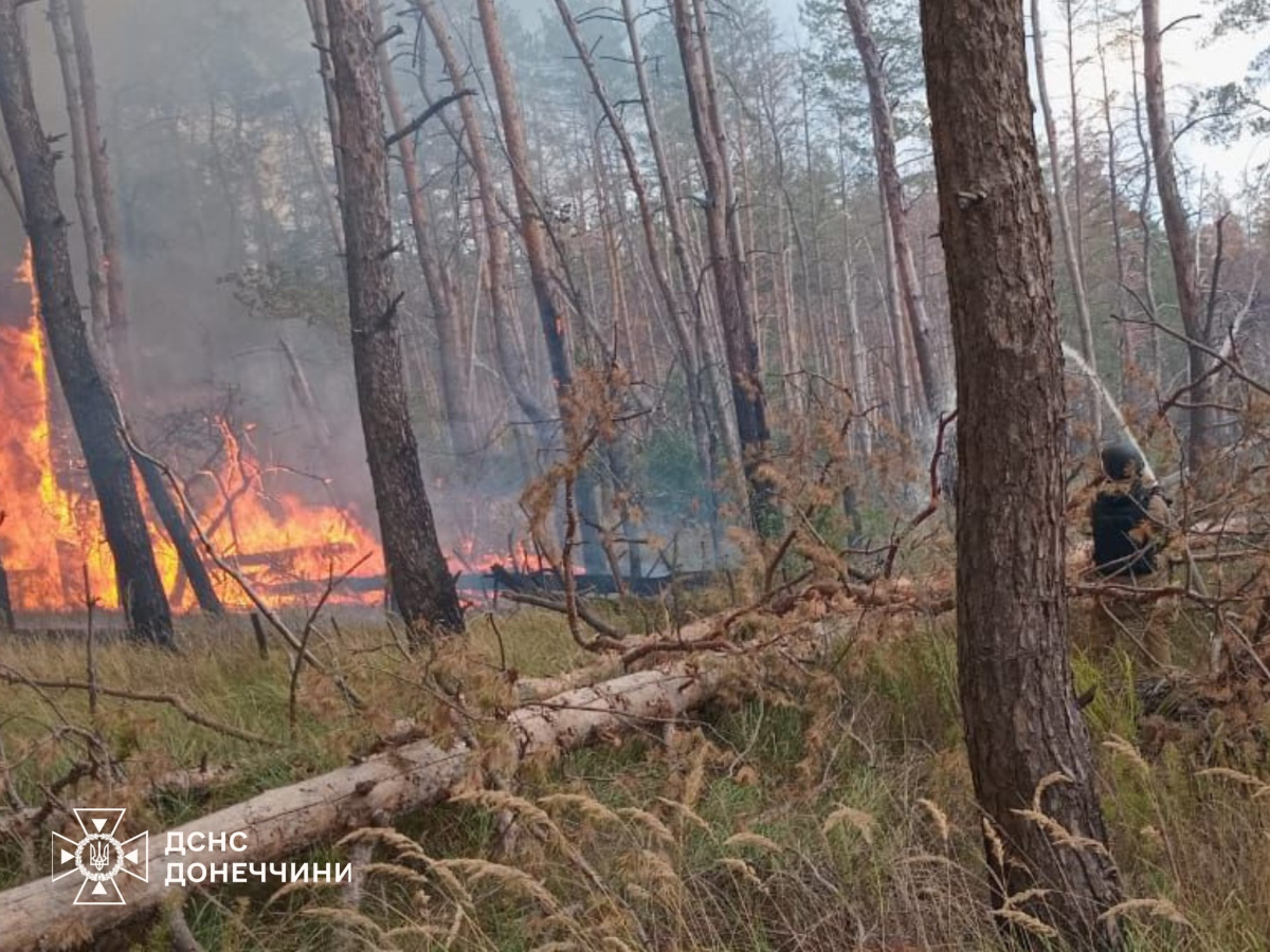 Лесной пожар после обстрела Щурово. Фото: ГСЧС