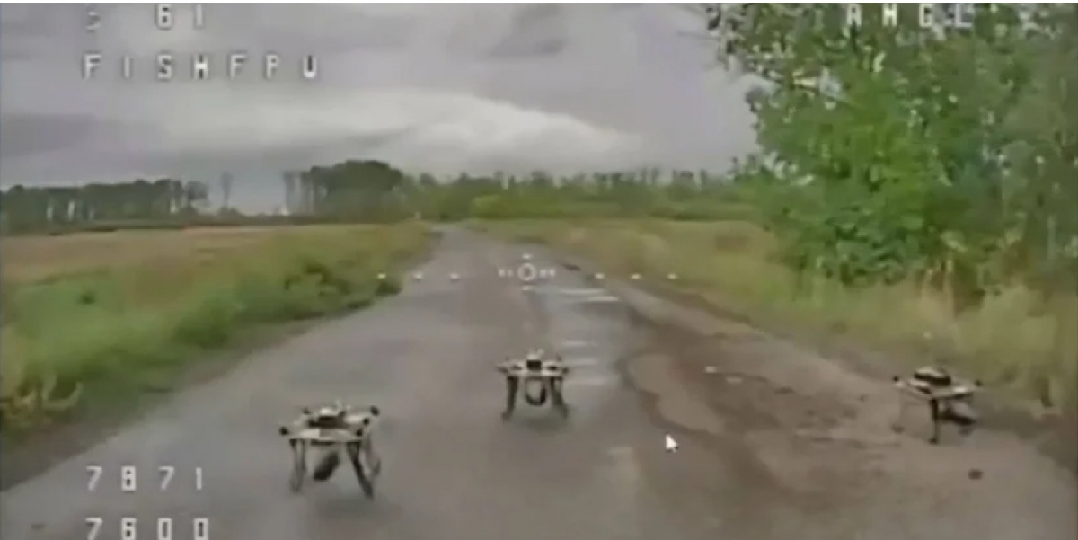 Российские беспилотники заблокировали дорогу, ожидая приближения украинской техники, однако были вовремя уничтожены. Кадр из видео