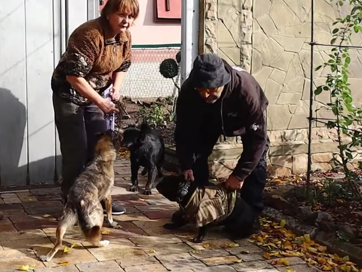 Полицейские эвакуировали семью с подростком из Константиновки