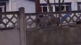 Амбулатория в Краматорске закрылась. Фото: скриншот 