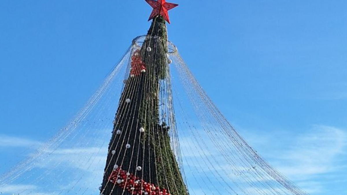 Скріншот: фрагмент ялинки в Луганську