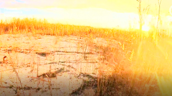 Дно Каховского водохранилища. Кадр из видео