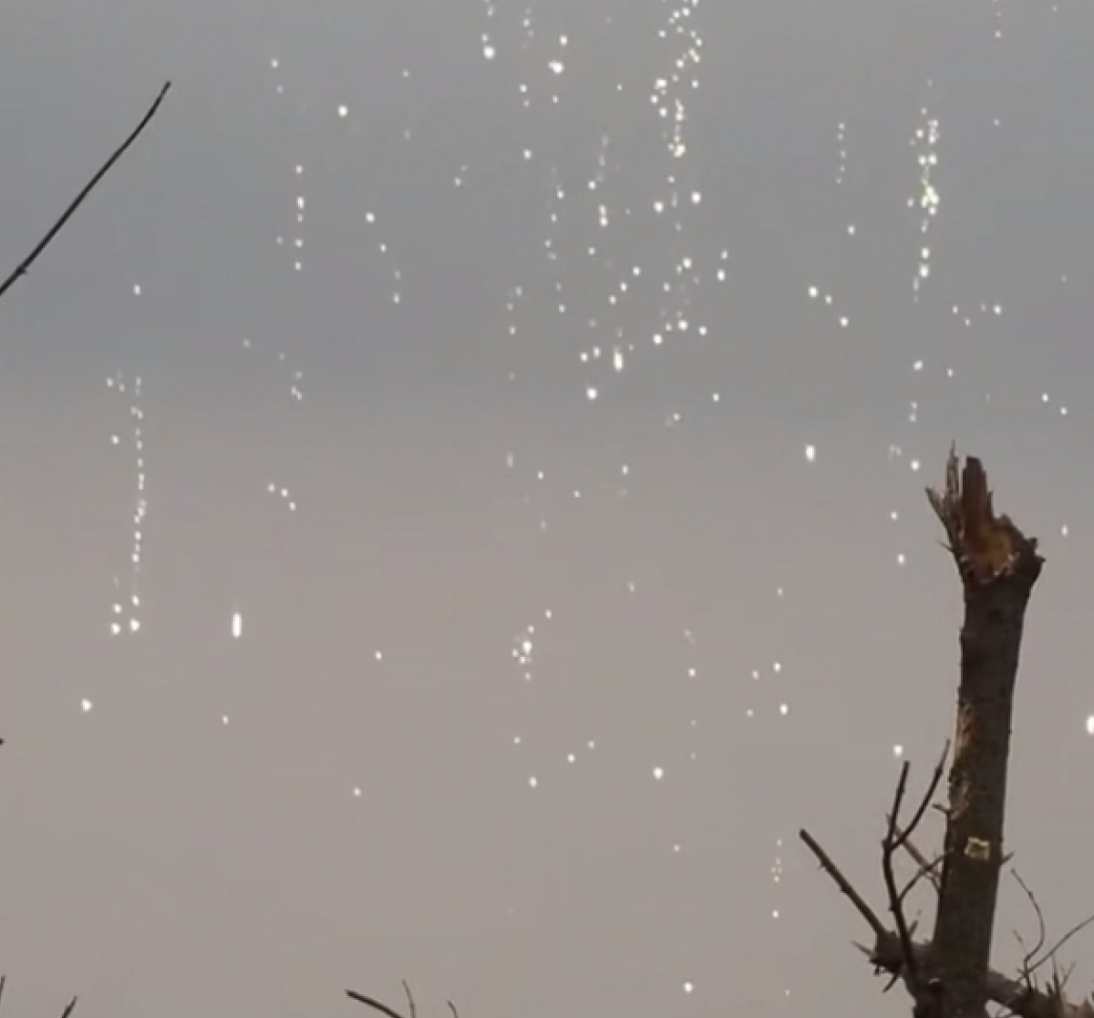 Жизнь пограничников бригады «Помста» показали в новом видео