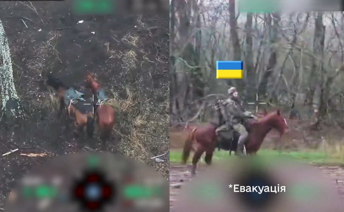 Спасение лошадей. 