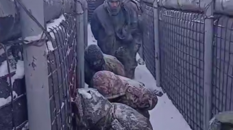 Под Гуляйполем украинские военные взяли в плен штурмовую группу РФ