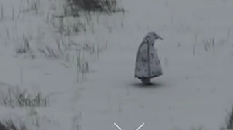 Россиянин в маскировочном плаще, напоминающем пингвина