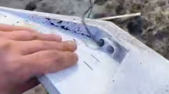 Дроны россиян начали долетать до Павлограда. Фото: скриншот 