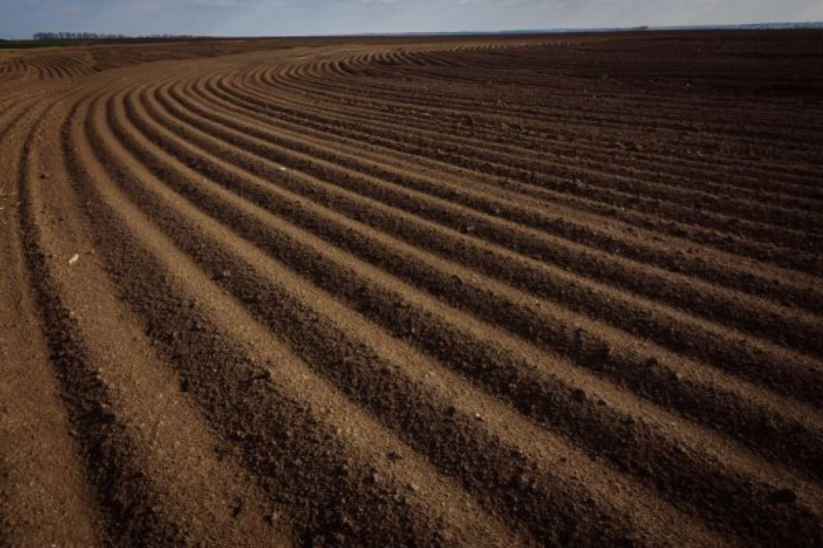 На Луганщині окупанти запускають конфіскацію паїв