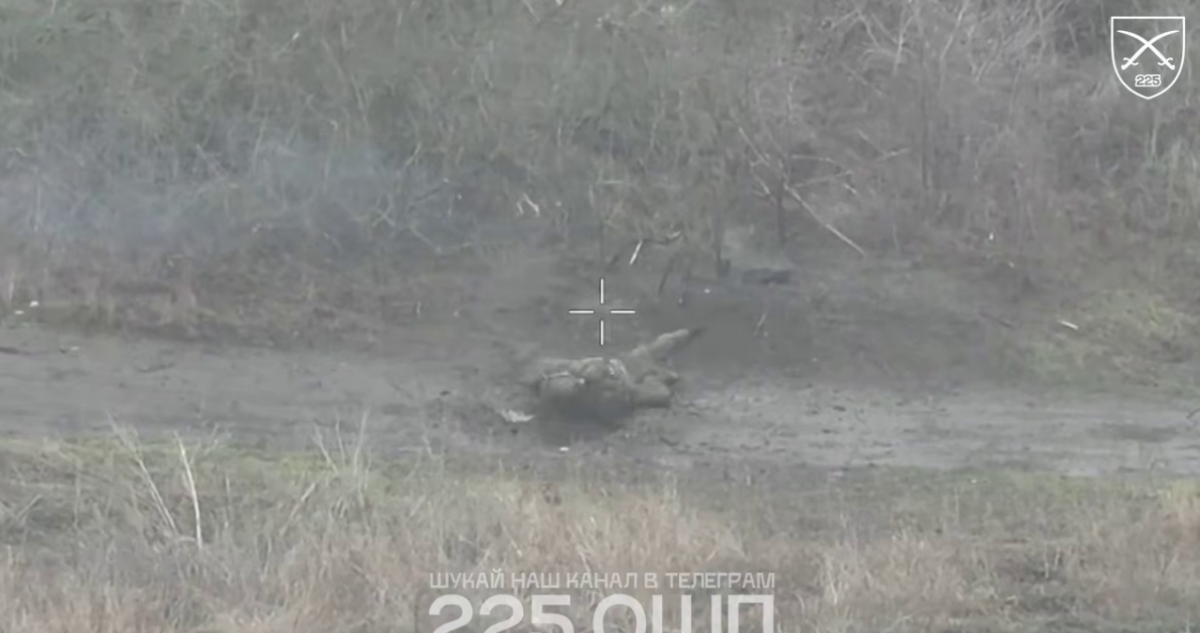 Знищення живої сили РФ у районі Гуляйполя. Кадр із відео