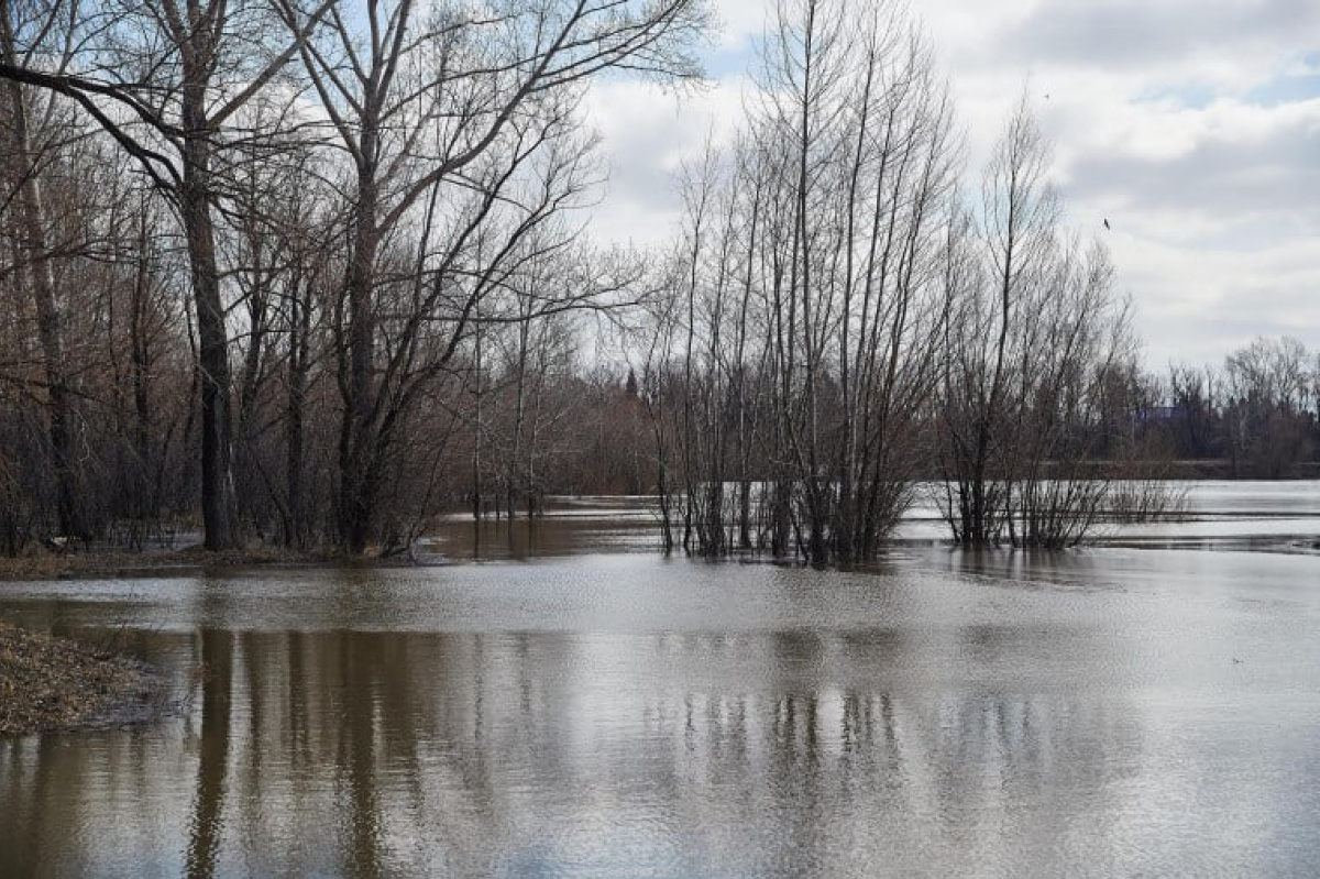 Наводнение на оккупированной Луганщине. Фото: группировка «ЛНР»