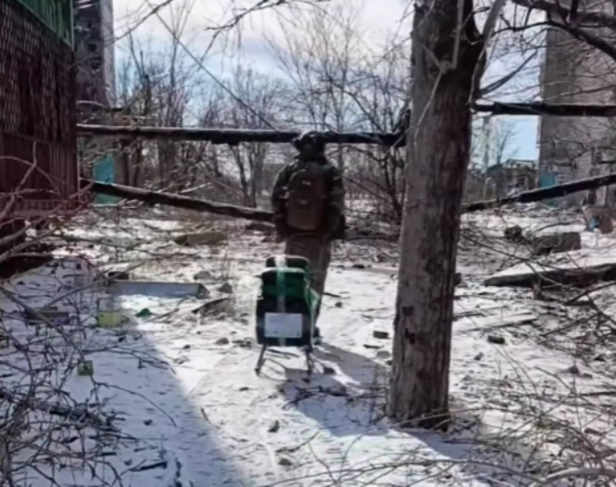 Доставка еды на санках в Константиновке.