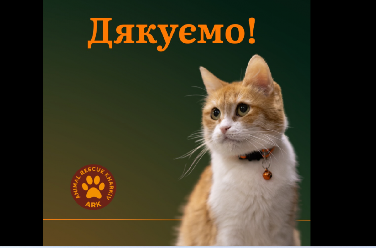 Фото организации «Спасение Животных Харьков»