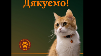 Фото организации «Спасение Животных Харьков»