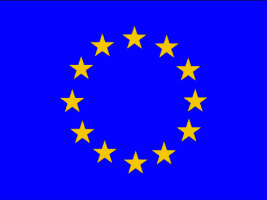 Донецкая «Батькивщина» призывает привлечь к ответственности поджигателя флага ЕС