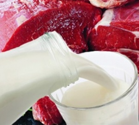 В России объяснили почему запретили ввоз украинского молока и мяса