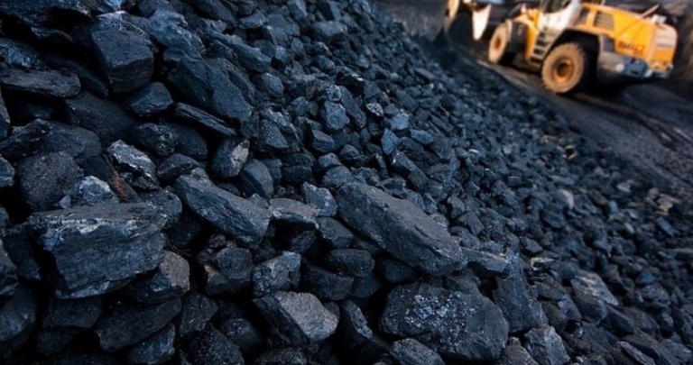 Юрист Курченко будет следить за контрабандой угля и бензина в «ДНР»?