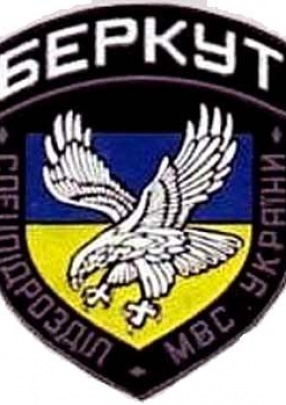 Донецкий «Беркут» переименовали в «специальный отряд милиции»
