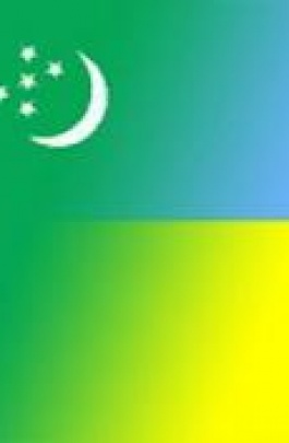Туркменистан готов давать Украине дешевый газ