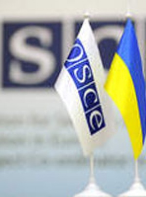 В ОБСЕ назвали прошедшие выборы шагом назад для Украины