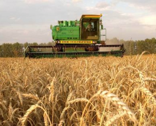 Захарченко просит студентов разработать программу для сельского хозяйства